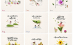 14款卡通手绘植物花朵插画日历台历PSD素材