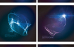 26款蓝色风科技未来线稿数码科技粒子光线底纹海报AI矢量元素素材模板