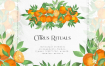 橙色桔子柑橘绿色叶子新鲜水果手绘水彩蒙版装饰PNG免抠素材