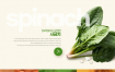 3款餐饮美食蔬菜海鲜食材网页模板PSD格式